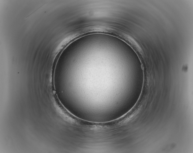 X0000091680938200709061101