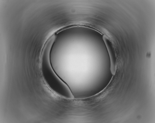 X0000091680940200709061101