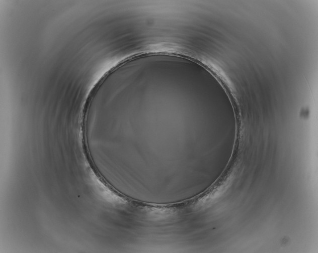 X0000091680941200709061101
