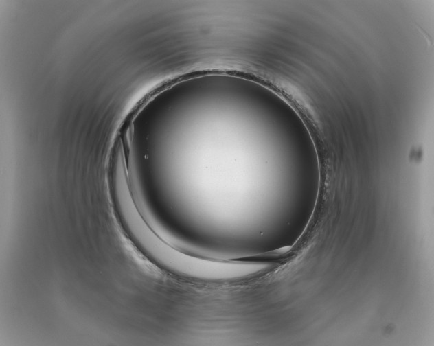 X0000091680942200709061101