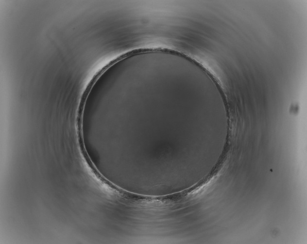 X0000091680943200709061101