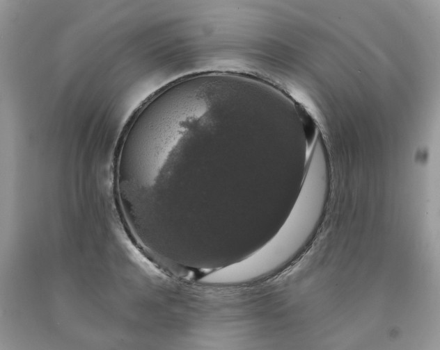 X0000091680944200709061101