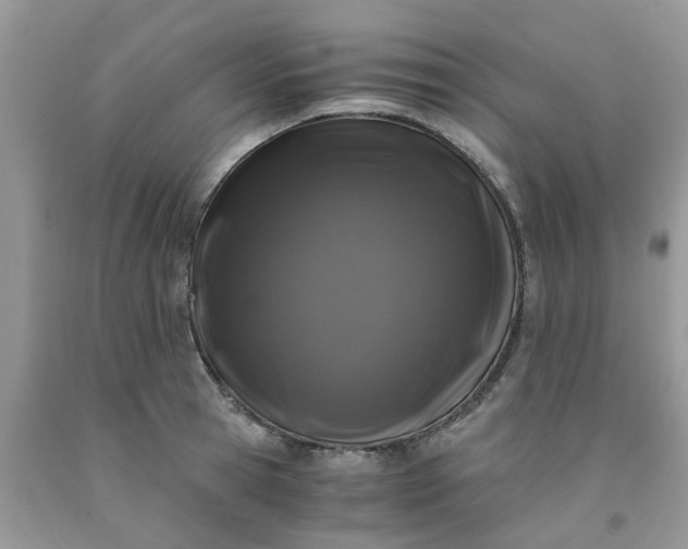 X0000091680945200709061101