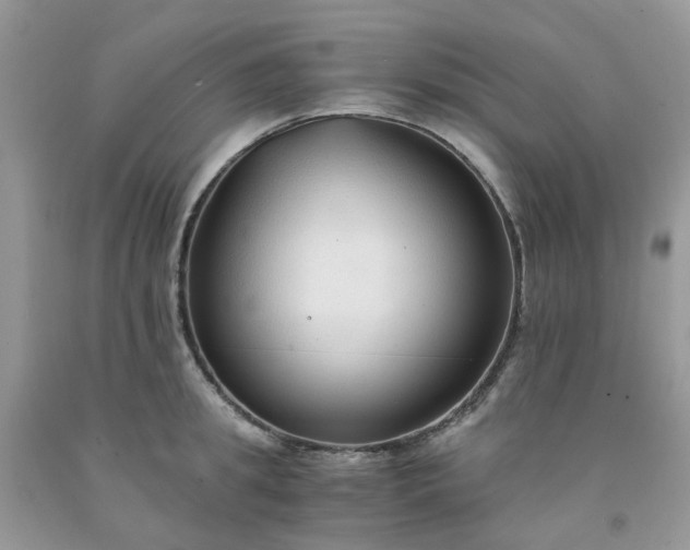 X0000091680949200709061101