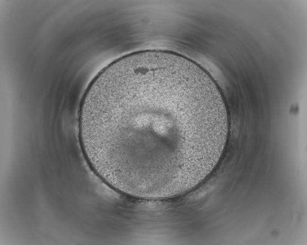 X0000091680950200709061101