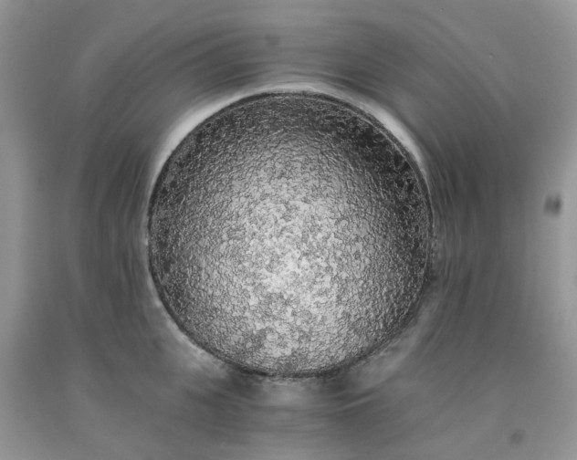 X0000091680951200709061101