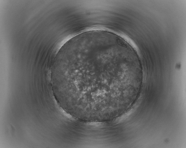 X0000091680953200709061101
