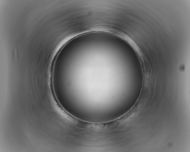 X0000091680955200709061101