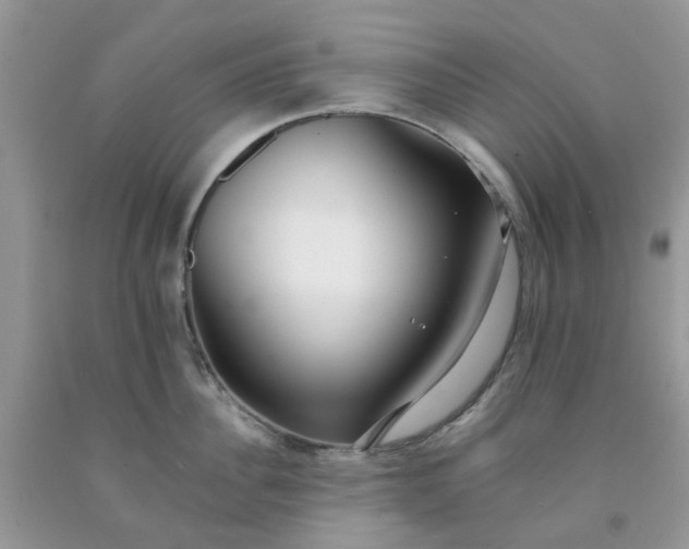 X0000091680956200709061101