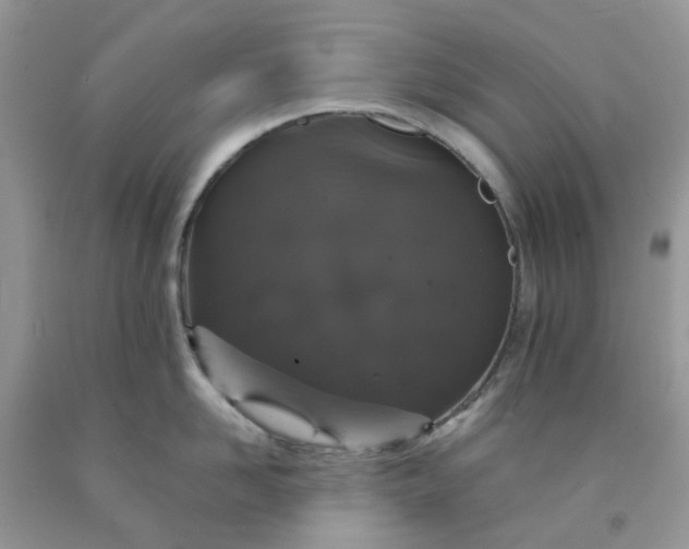 X0000091680958200709061101