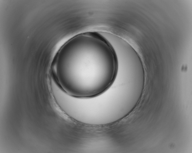 X0000091680960200709061101