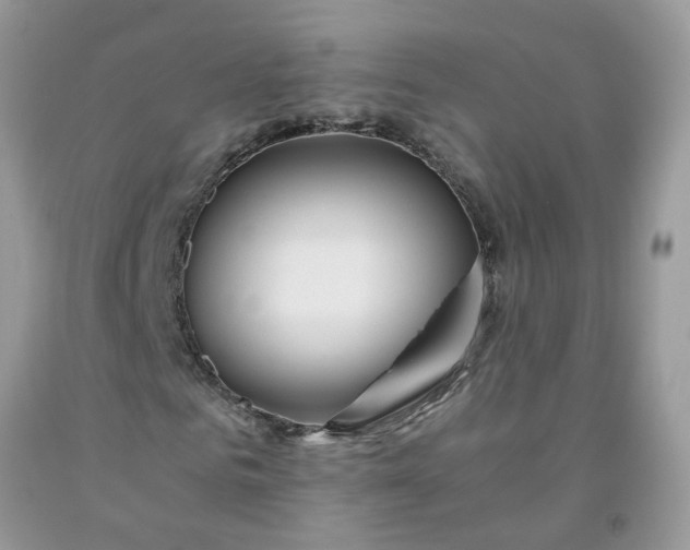 X0000091680961200709061100