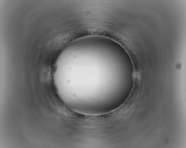 X0000091680963200709061100