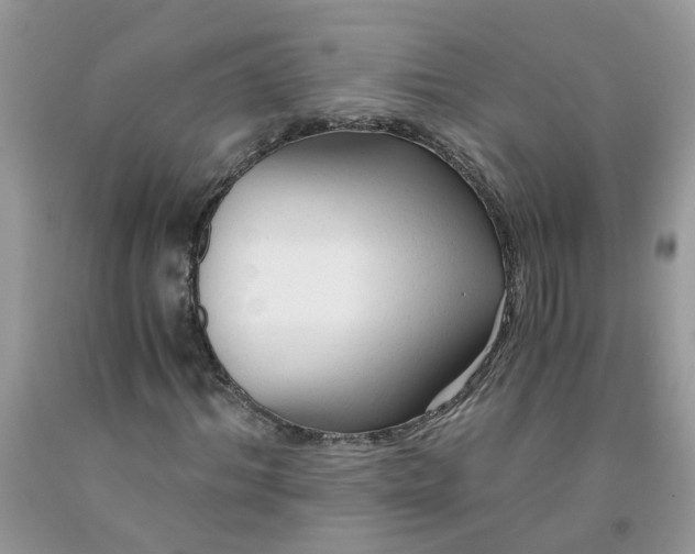 X0000091680964200709061100