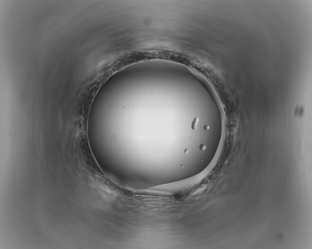X0000091680965200709061100