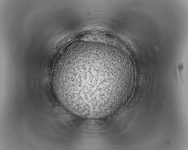 X0000091680966200709061100
