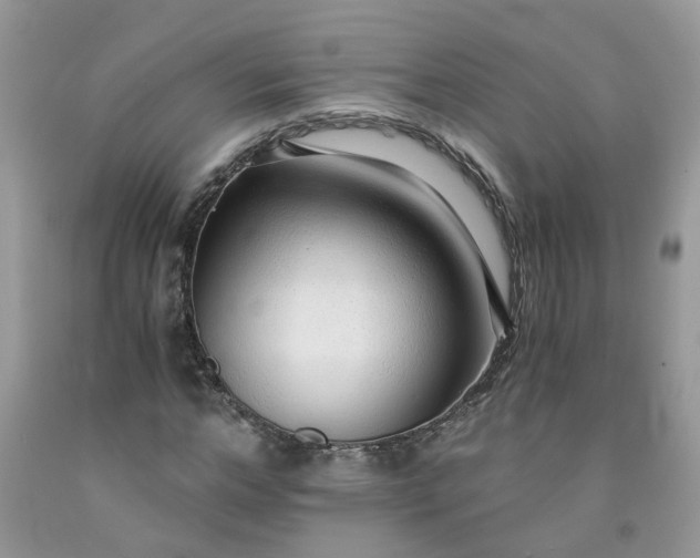 X0000091680968200709061100