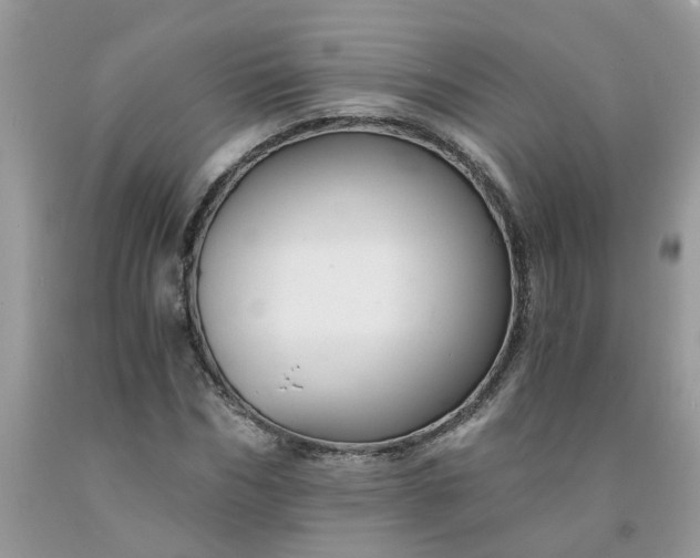 X0000091680970200709061100