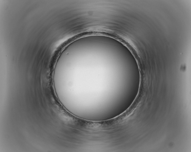 X0000091680971200709061100