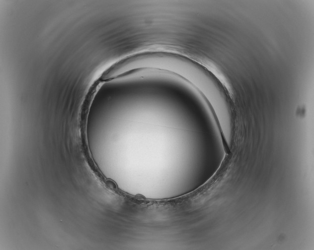 X0000091680972200709061100