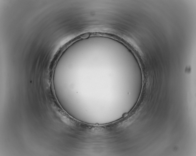 X0000091680974200709061100