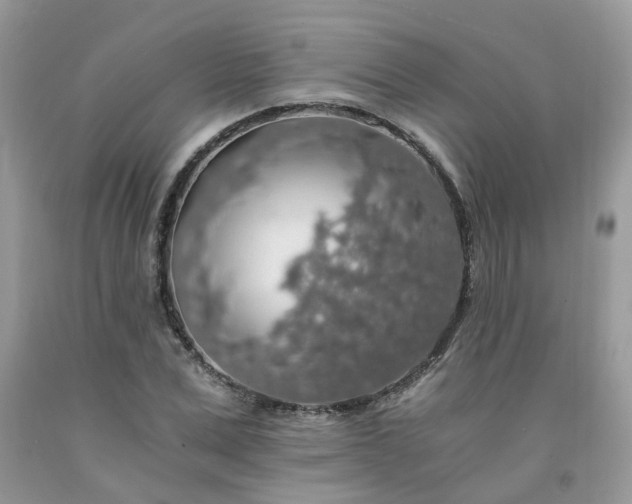 X0000091680975200709061100