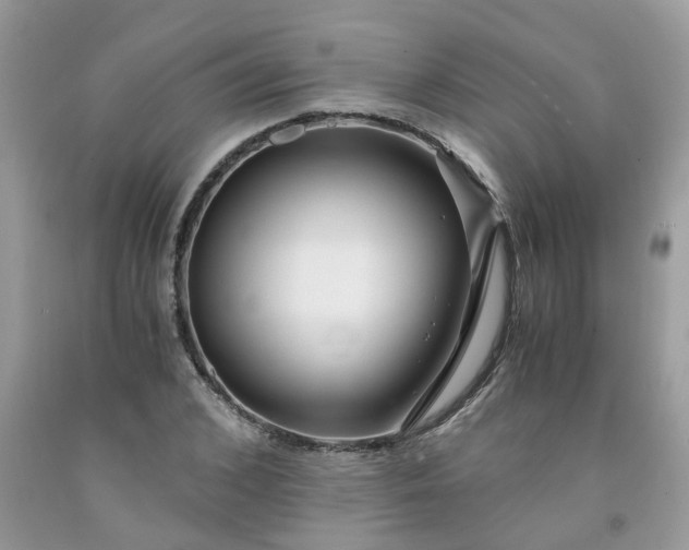 X0000091680976200709061100