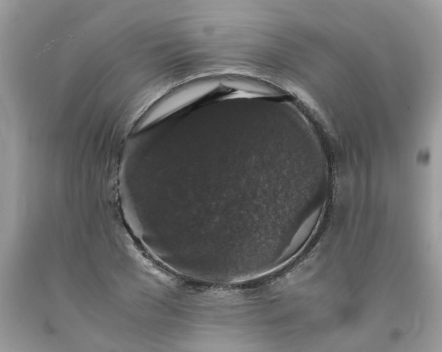 X0000091680977200709061100