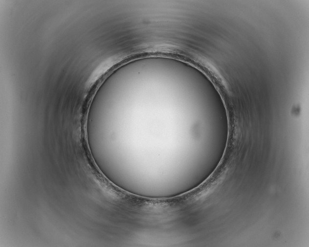 X0000091680978200709061100