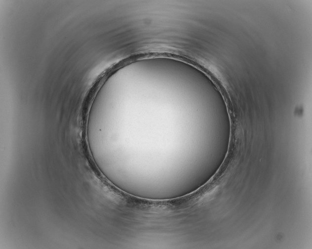 X0000091680979200709061100