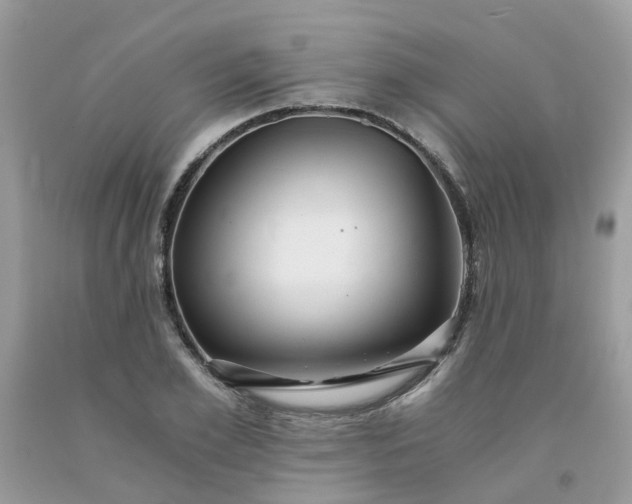 X0000091680981200709061100