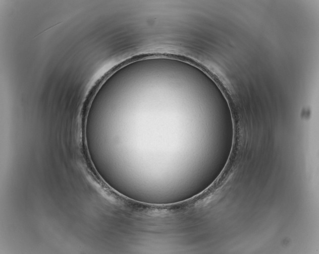 X0000091680982200709061100