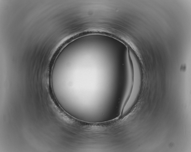 X0000091680984200709061100