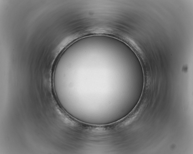 X0000091680986200709061100