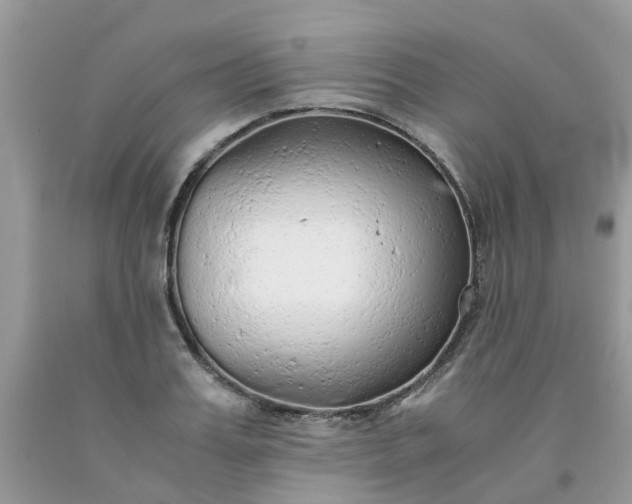 X0000091680987200709061100