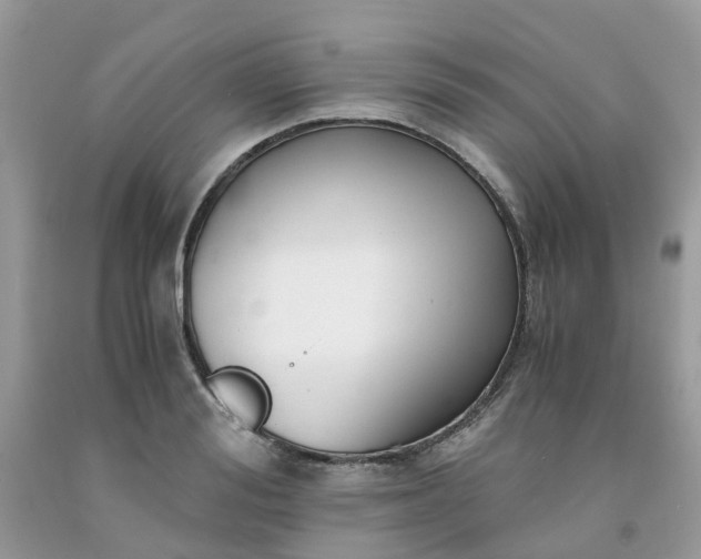 X0000091680988200709061100