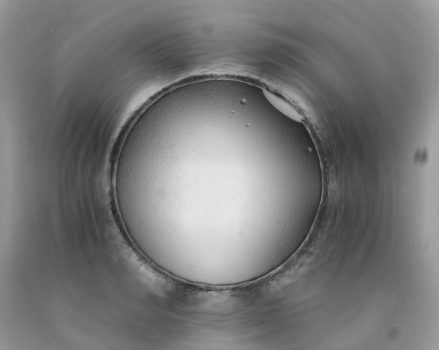 X0000091680990200709061100