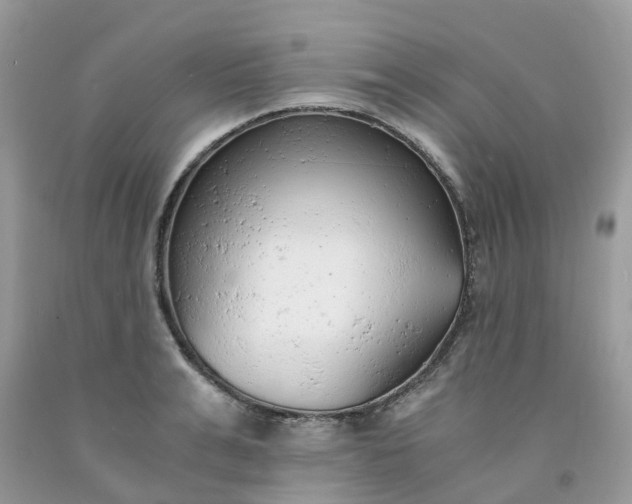 X0000091680991200709061100