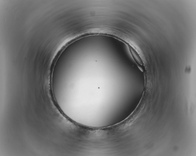 X0000091680992200709061100