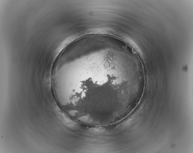 X0000091680994200709061100
