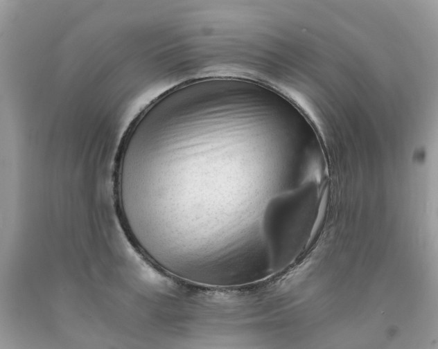 X0000091680995200709061100