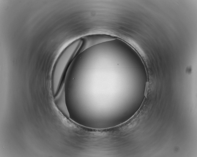 X0000091680996200709061100