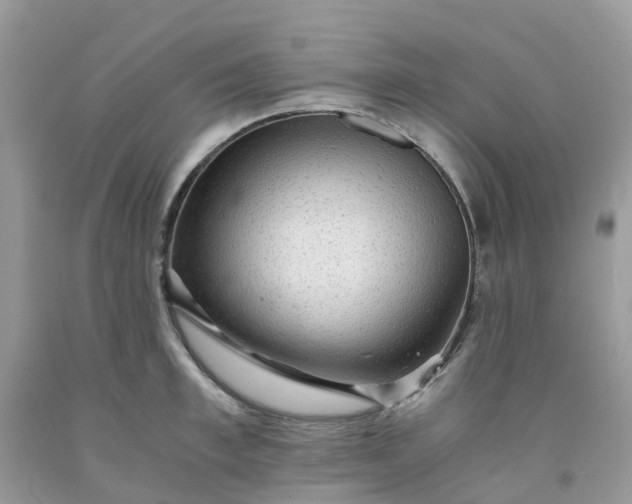 X0000091680997200709061100