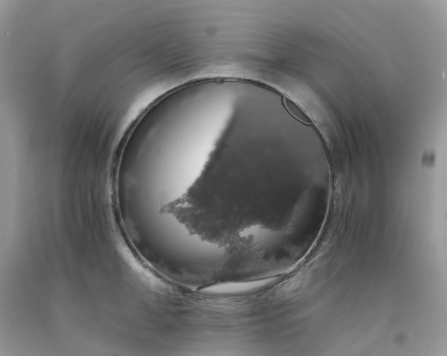 X0000091680998200709061100