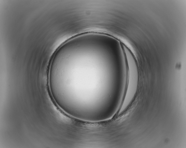 X0000091680999200709061100