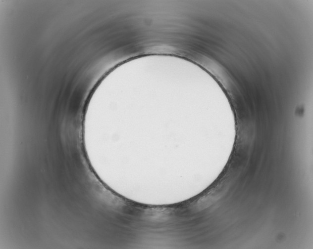 X0000091681000200709061100