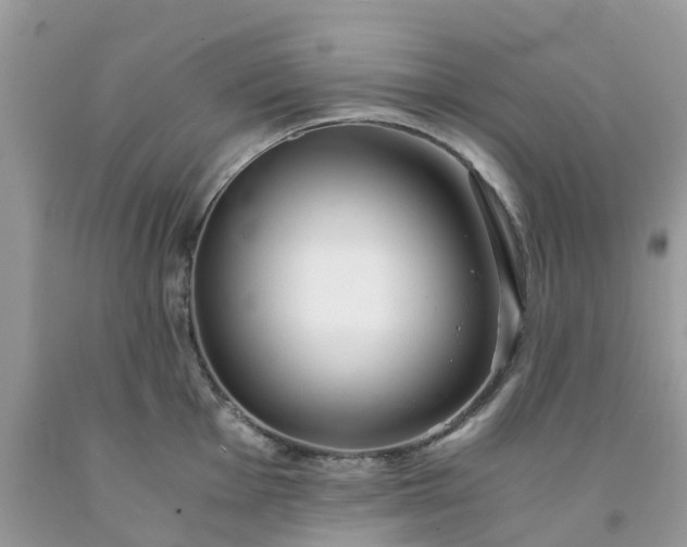 X0000091681001200709061100