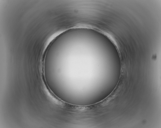 X0000091681003200709061100