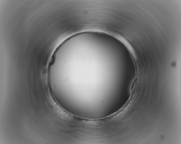 X0000091681004200709061100