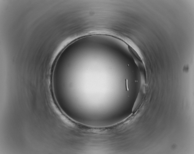 X0000091681005200709061100